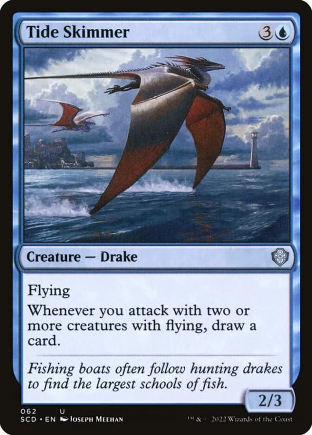 Tide Skimmer image