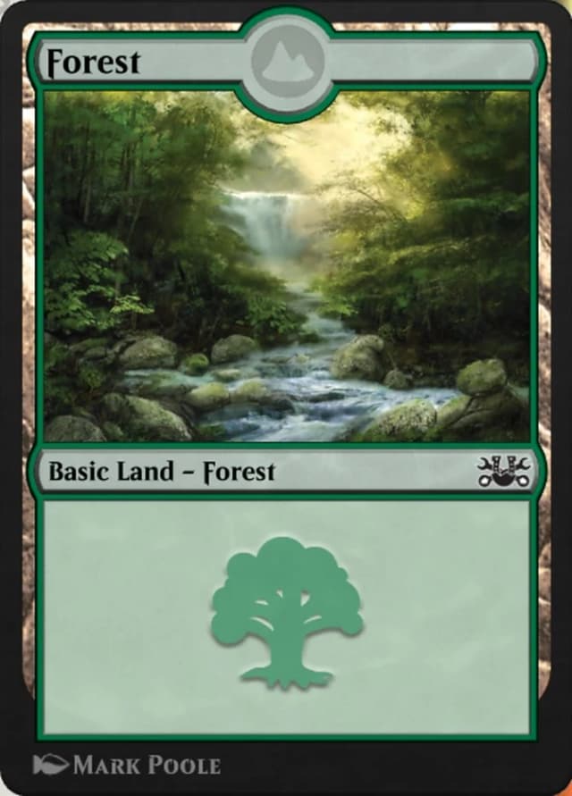 Forest image