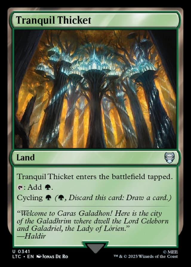 Tranquil Thicket image