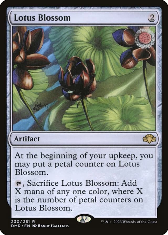 Lotus Blossom image