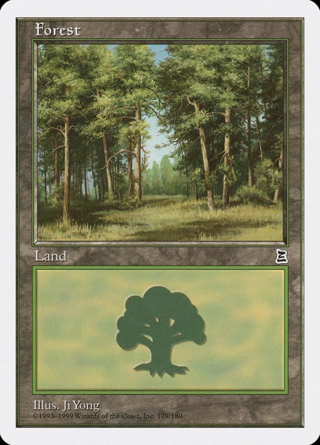 Forest image