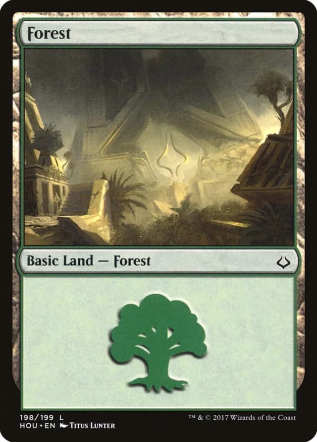 Forest image