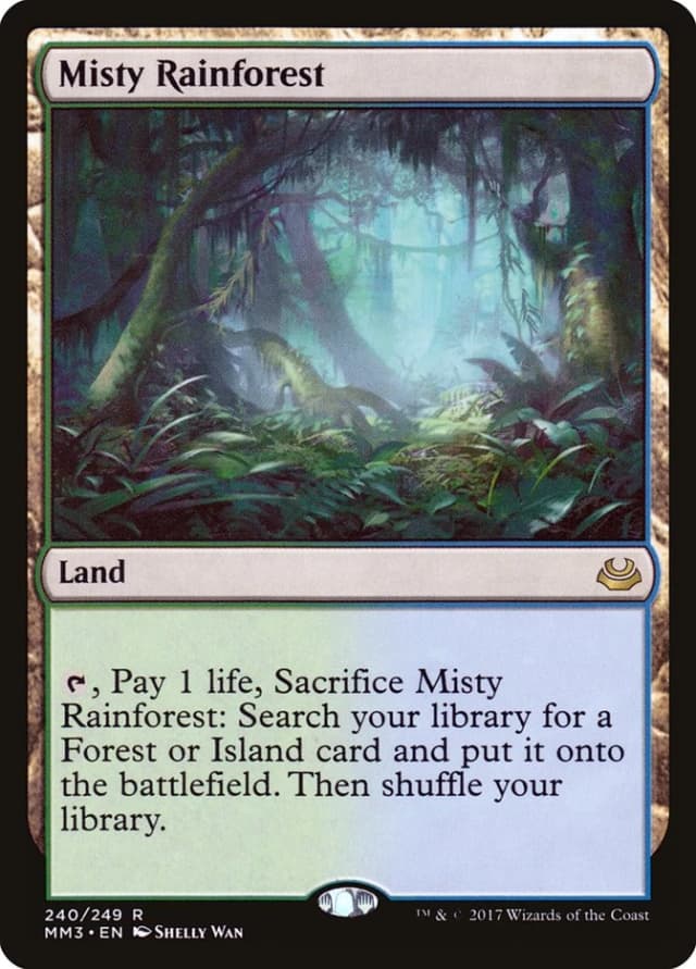 Misty Rainforest image