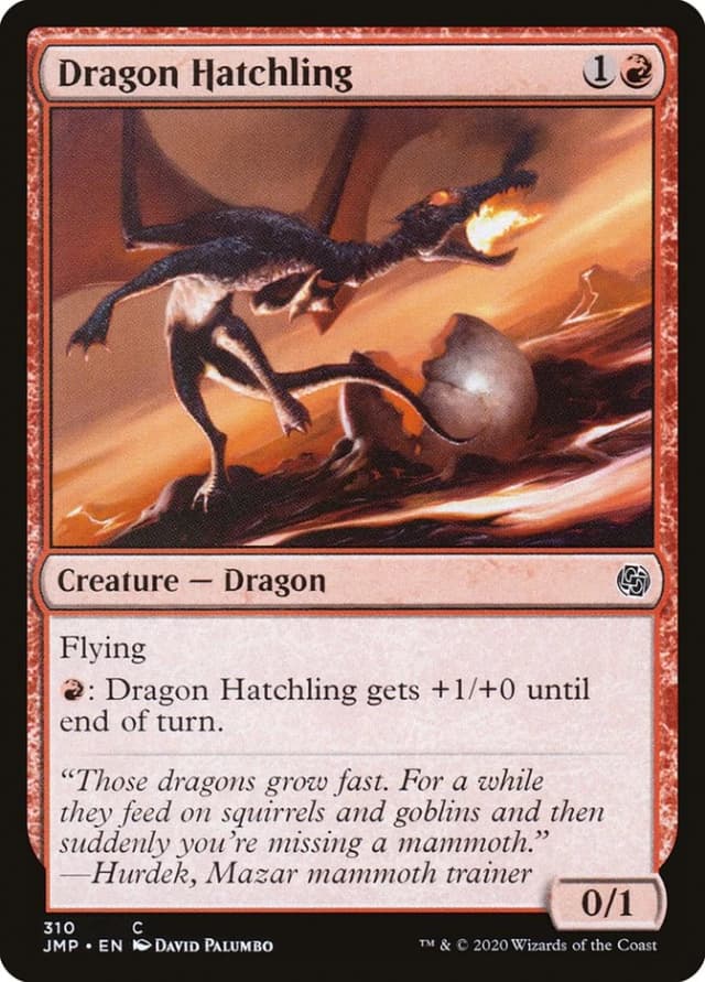 Dragon Hatchling image