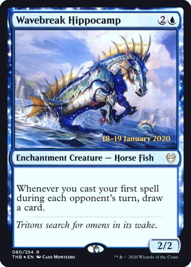 Wavebreak Hippocamp image