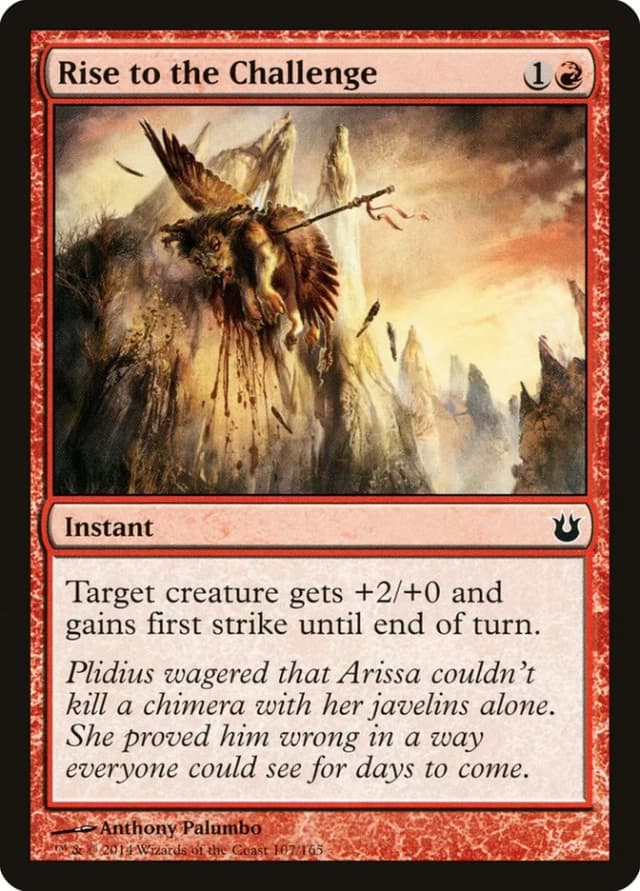 Rise to the Challenge image