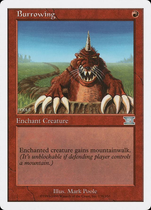 Burrowing image