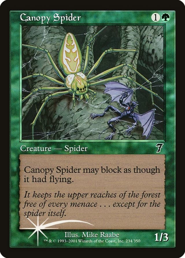 Canopy Spider image