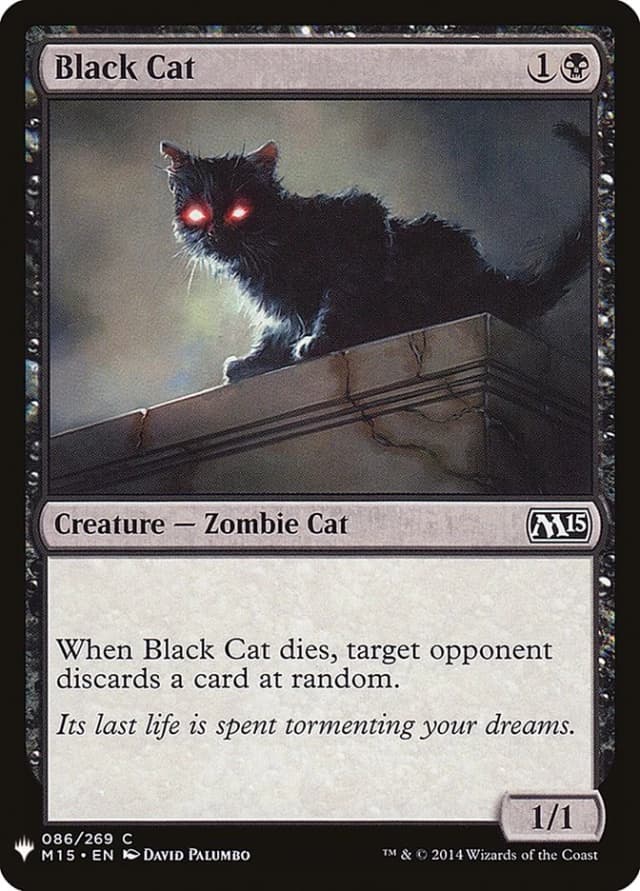 Black Cat image