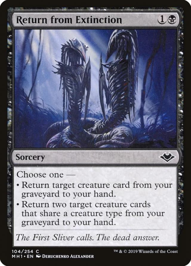 Return from Extinction image