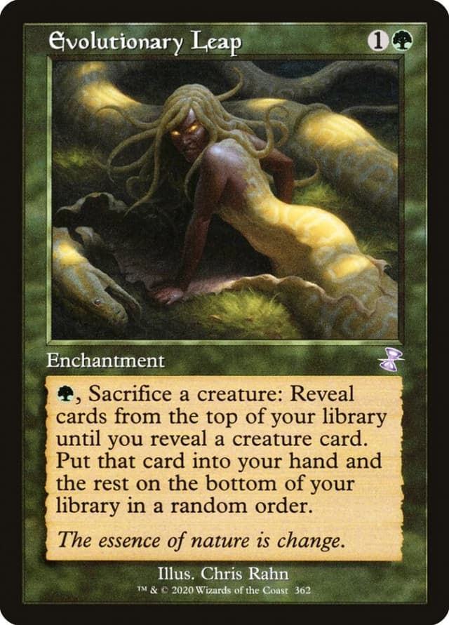 Evolutionary Leap image