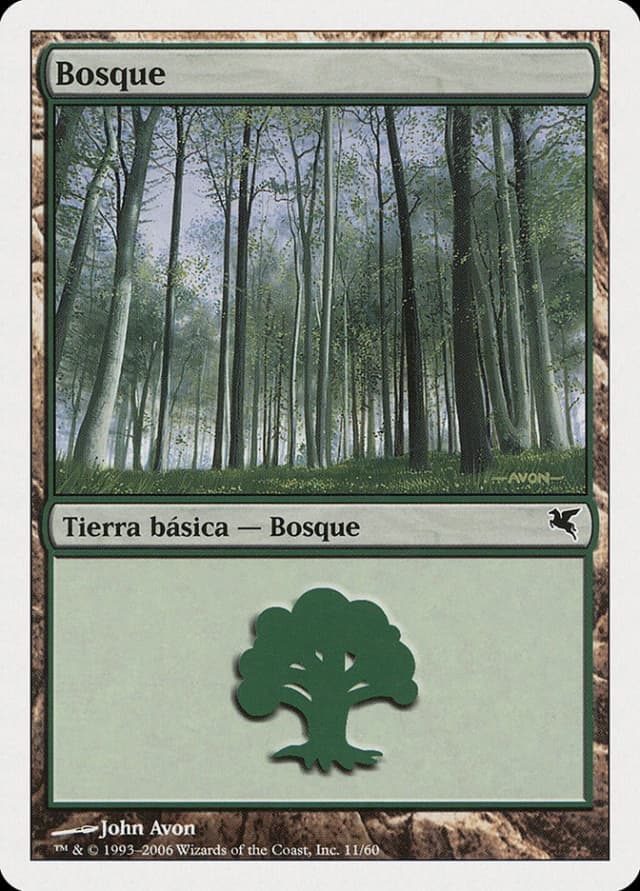 Forest image