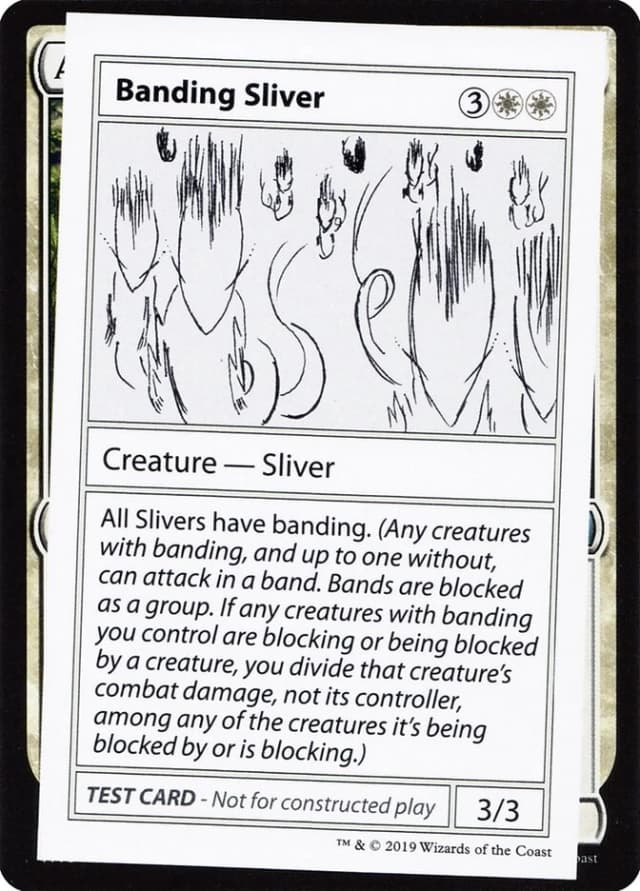 Banding Sliver image