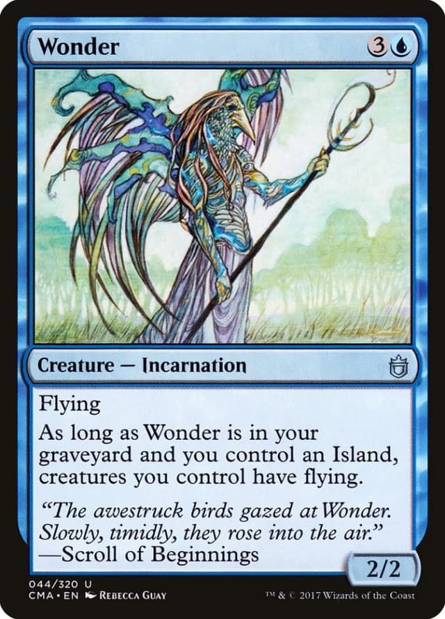 Wonder image