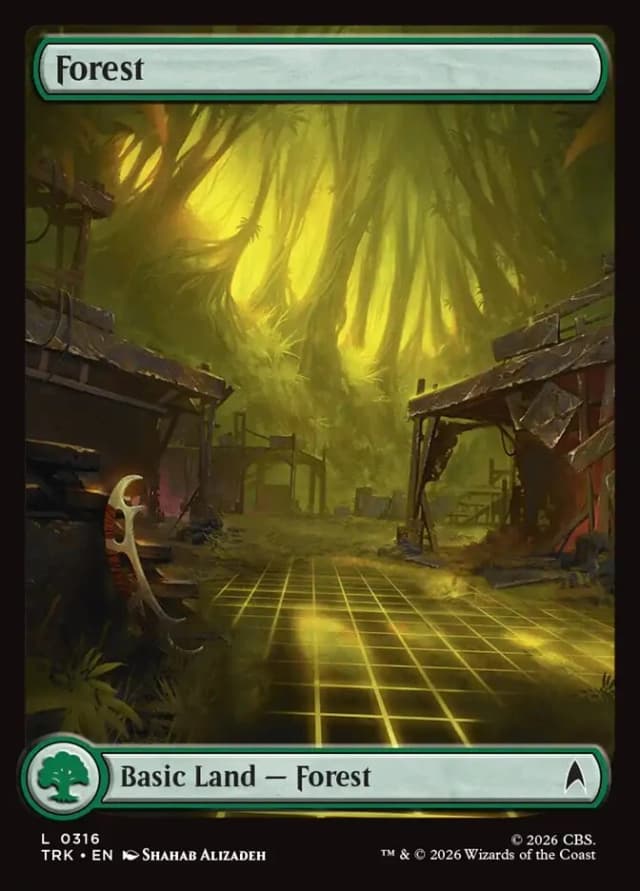 Forest image