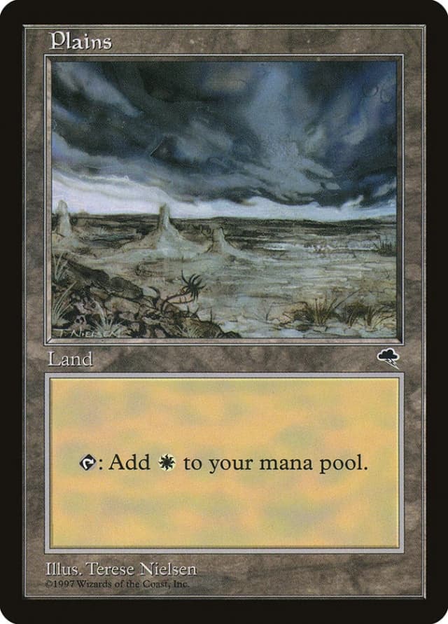 Plains image