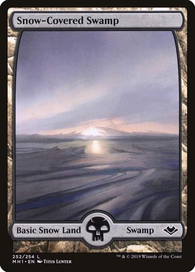 Snow-Covered Swamp image