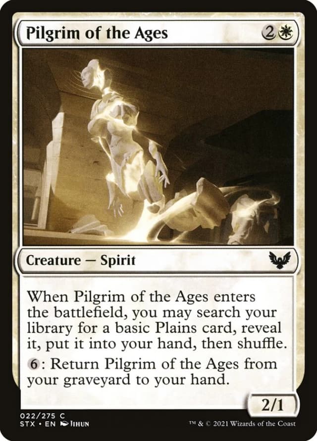 Pilgrim of the Ages image