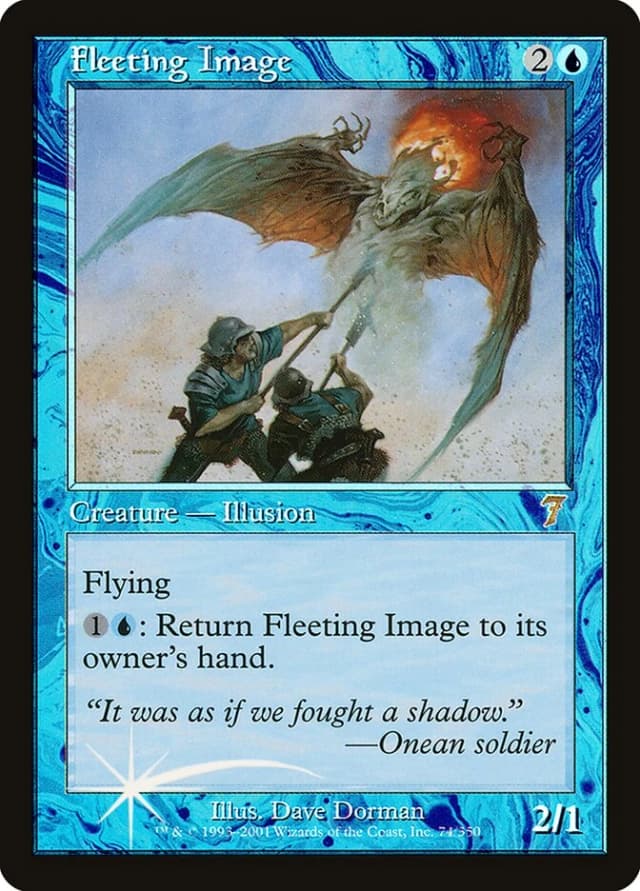 Fleeting Image image