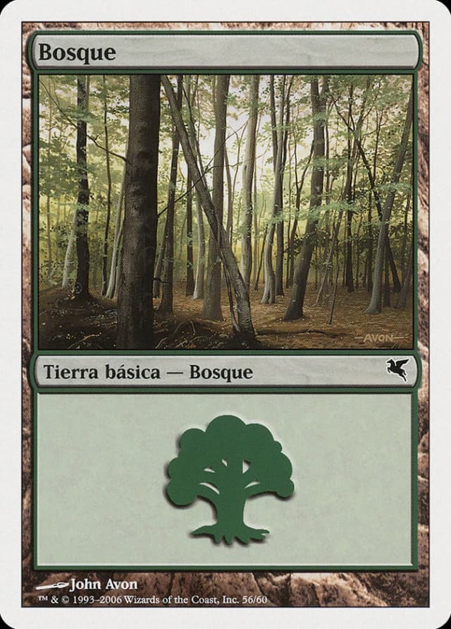 Forest image