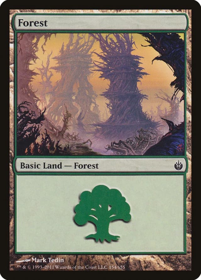 Forest image