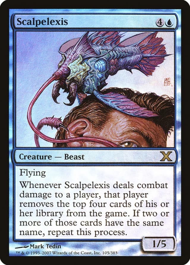 Scalpelexis image