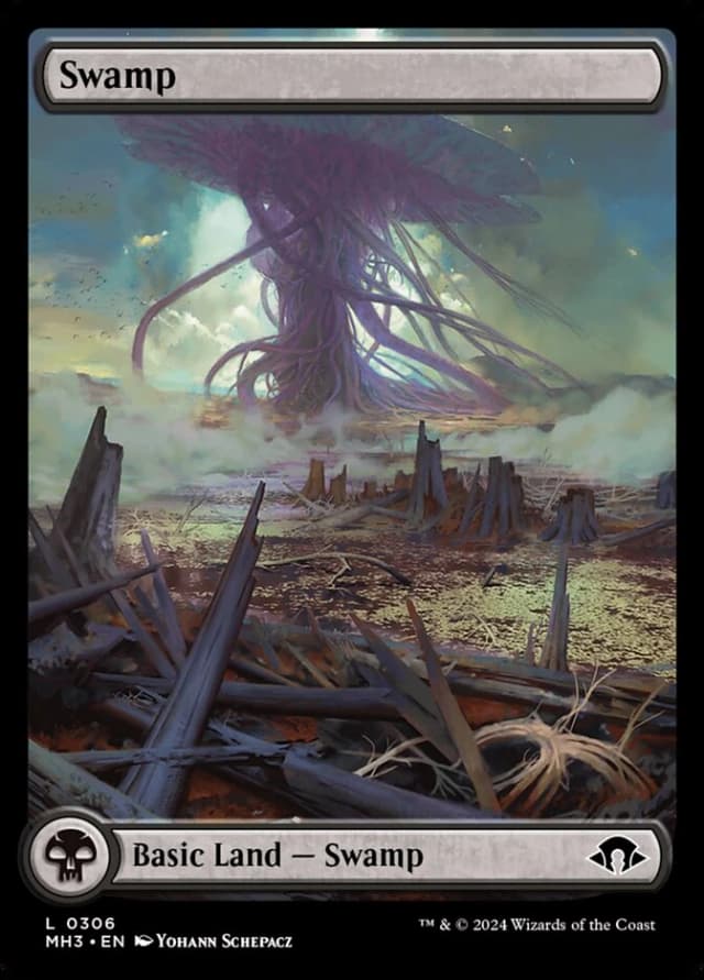Swamp image