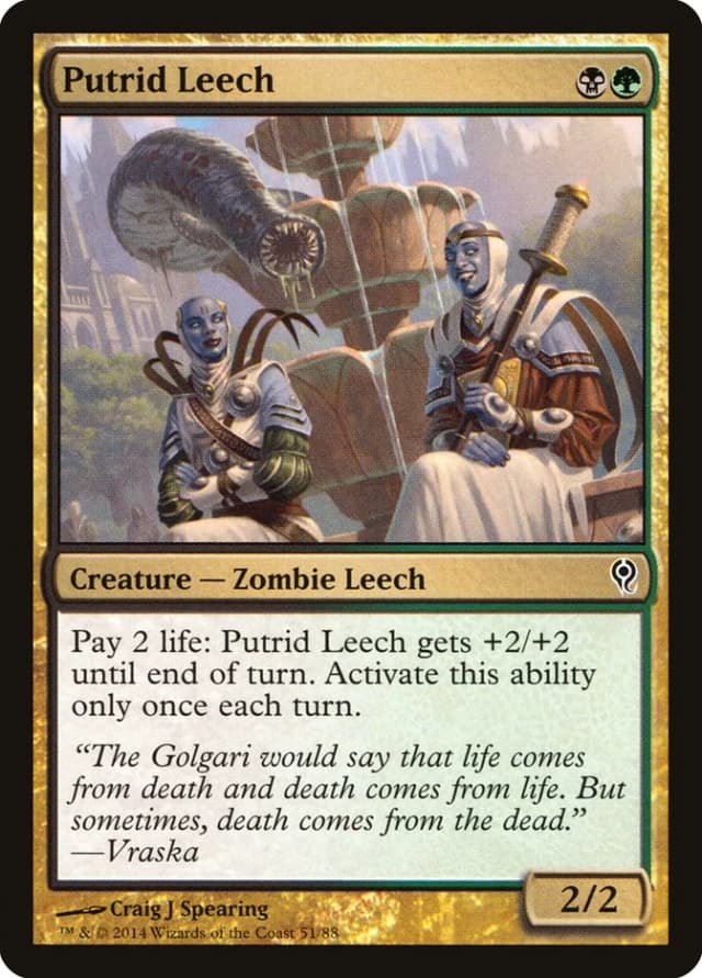Putrid Leech image