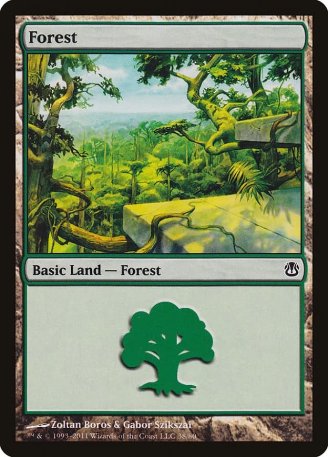 Forest image