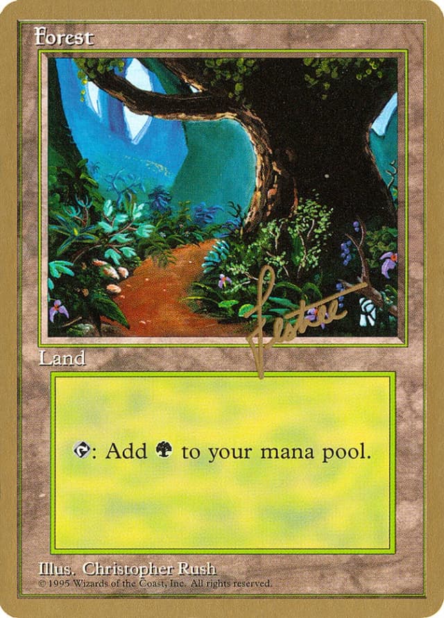 Forest image