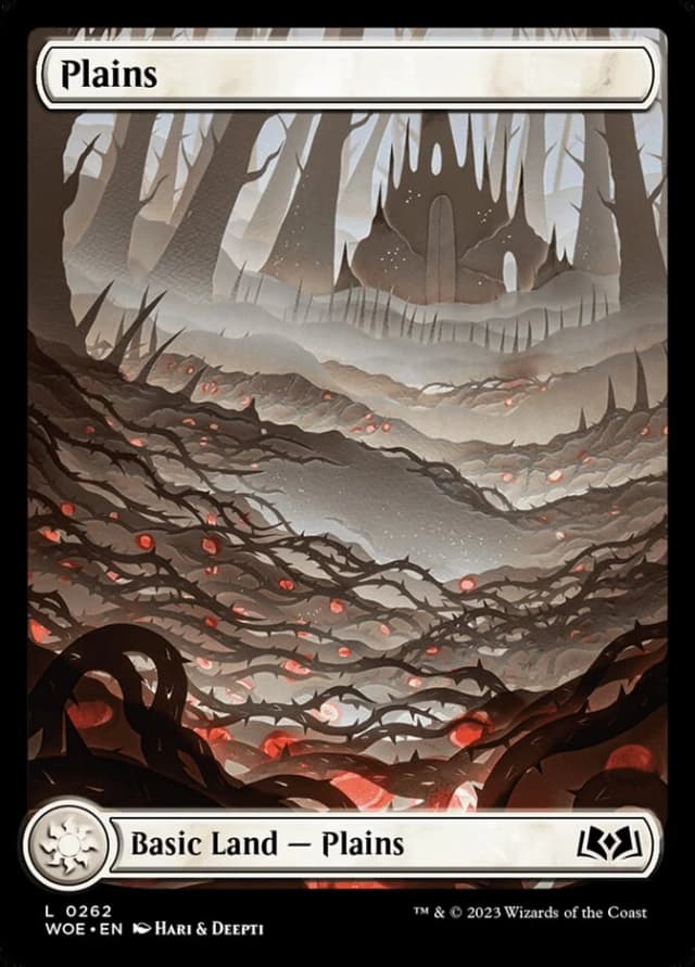 Plains image