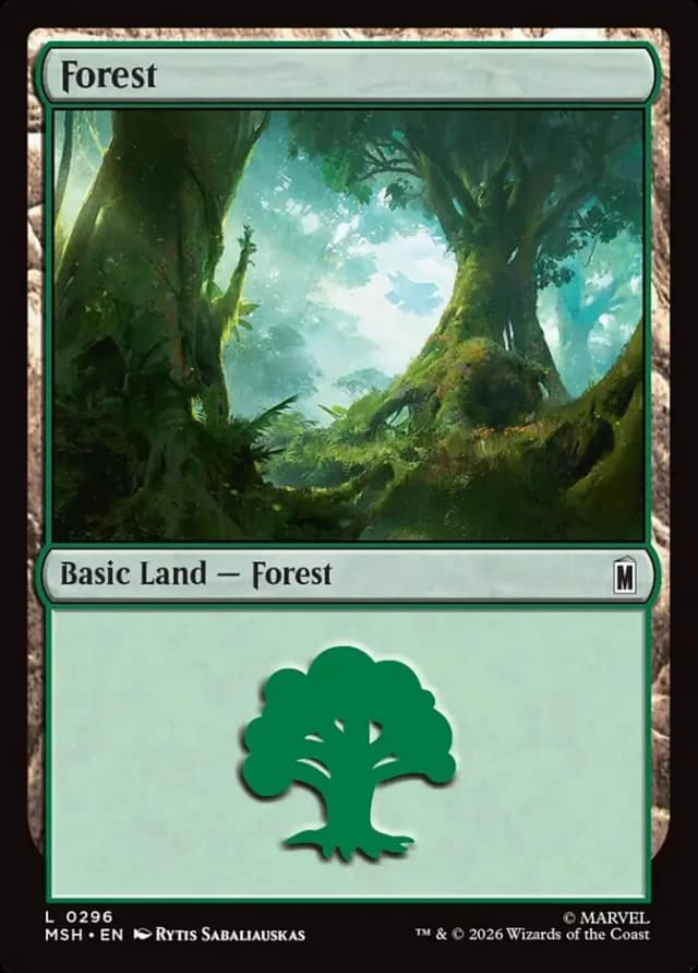 Forest image
