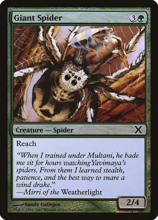 Giant Spider image