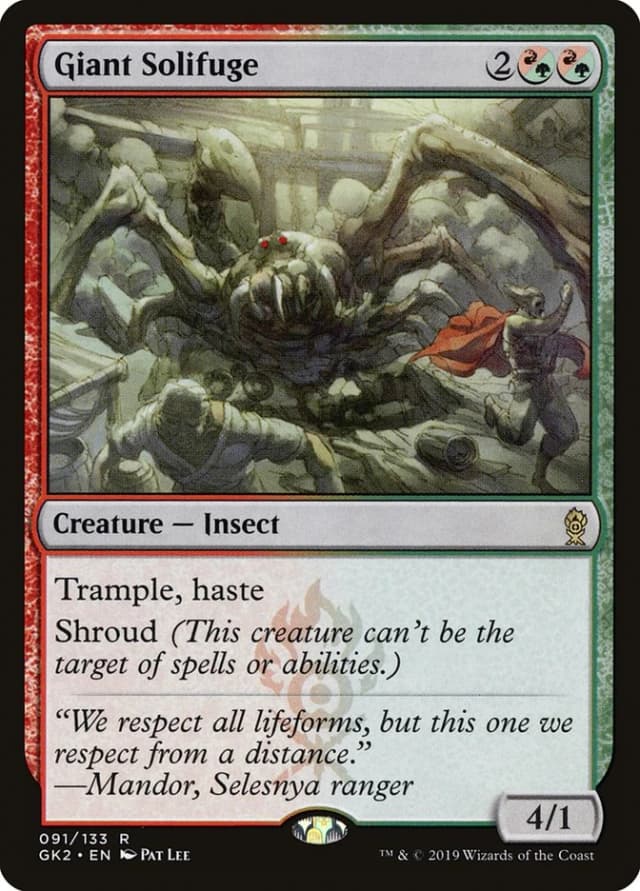 Giant Solifuge image