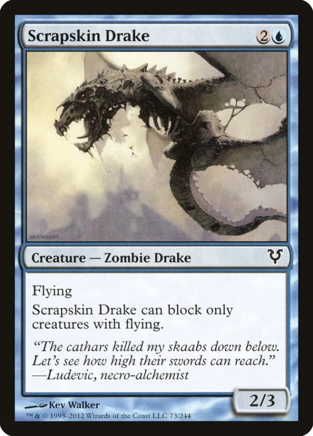 Scrapskin Drake image