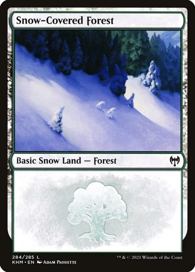 Snow-Covered Forest image