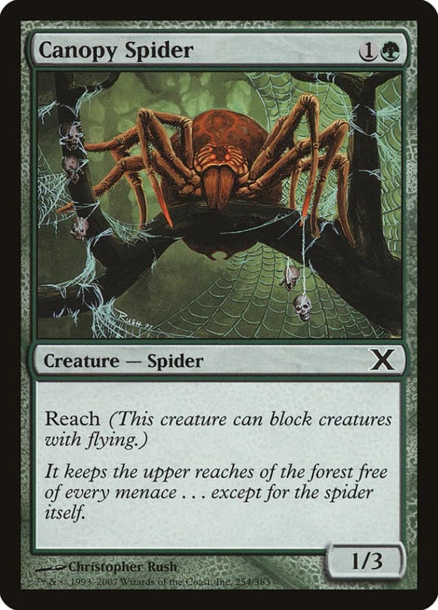 Canopy Spider image