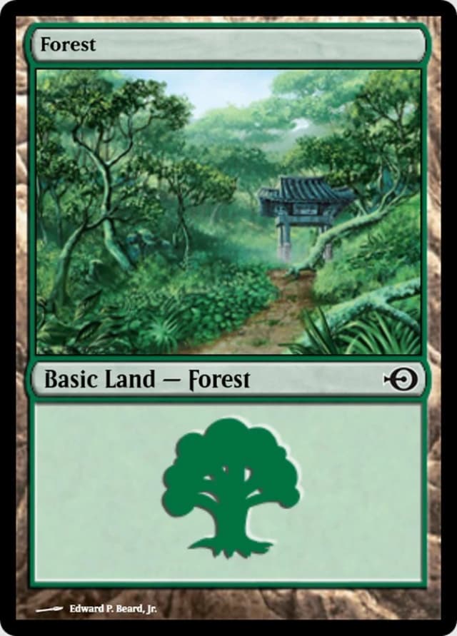 Forest image