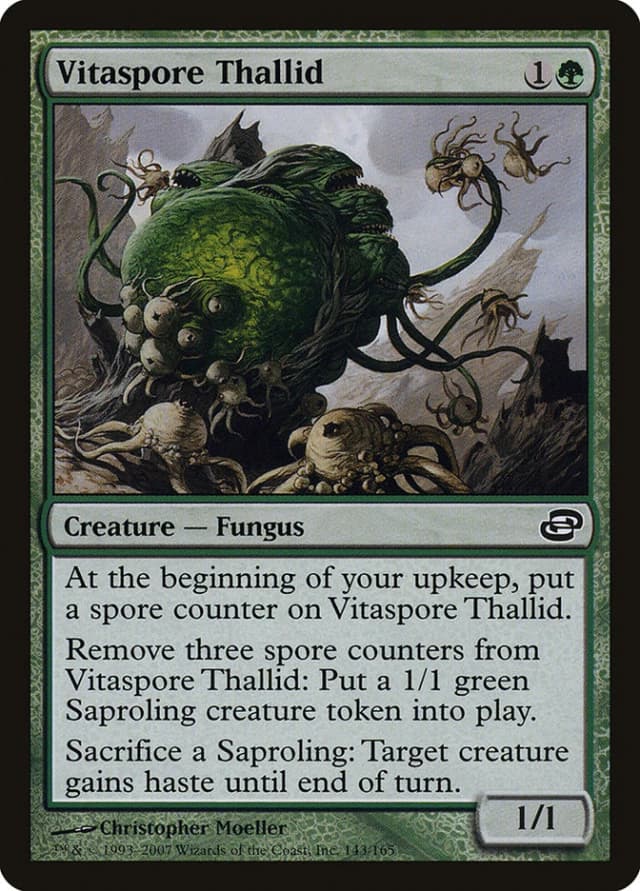 Vitaspore Thallid image