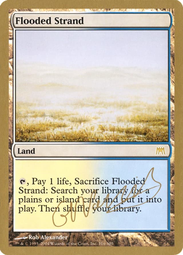 Flooded Strand image