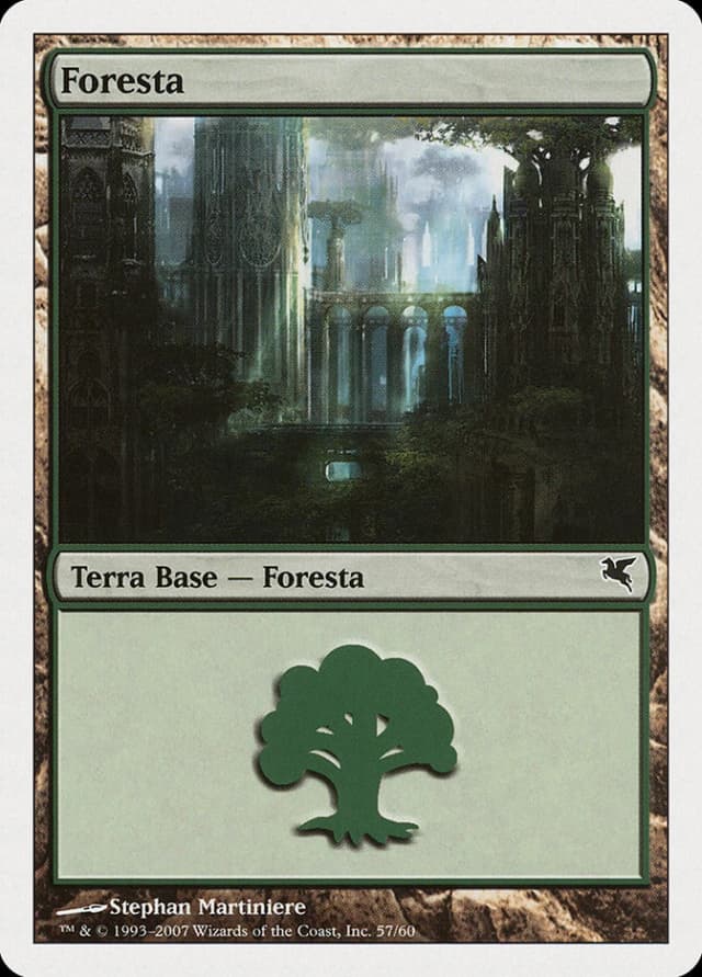 Forest image