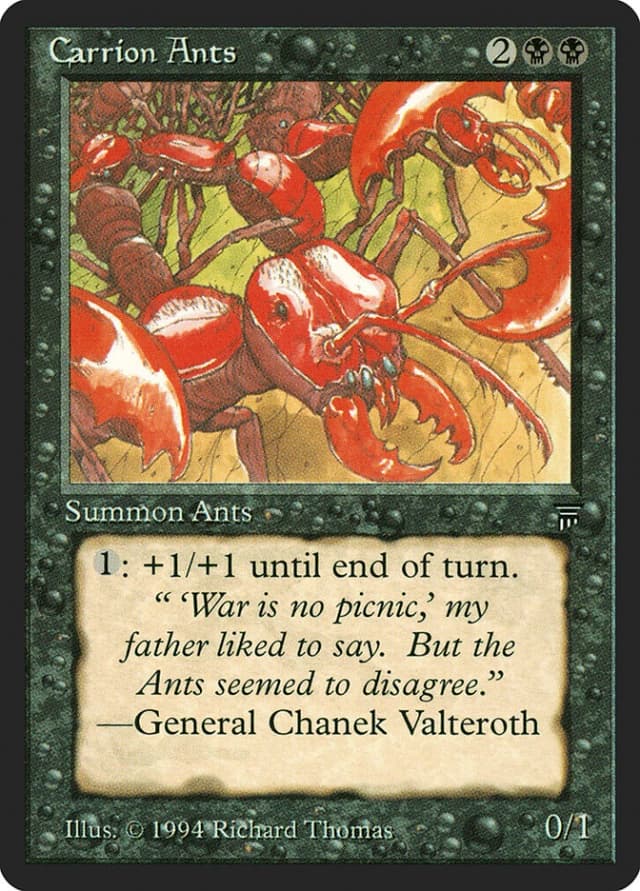Carrion Ants image