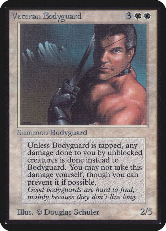 Veteran Bodyguard image