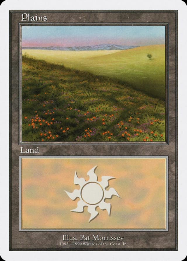 Plains image