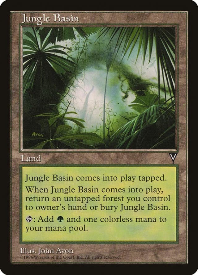 Jungle Basin image