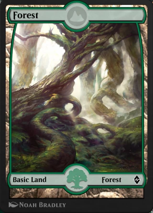 Forest image