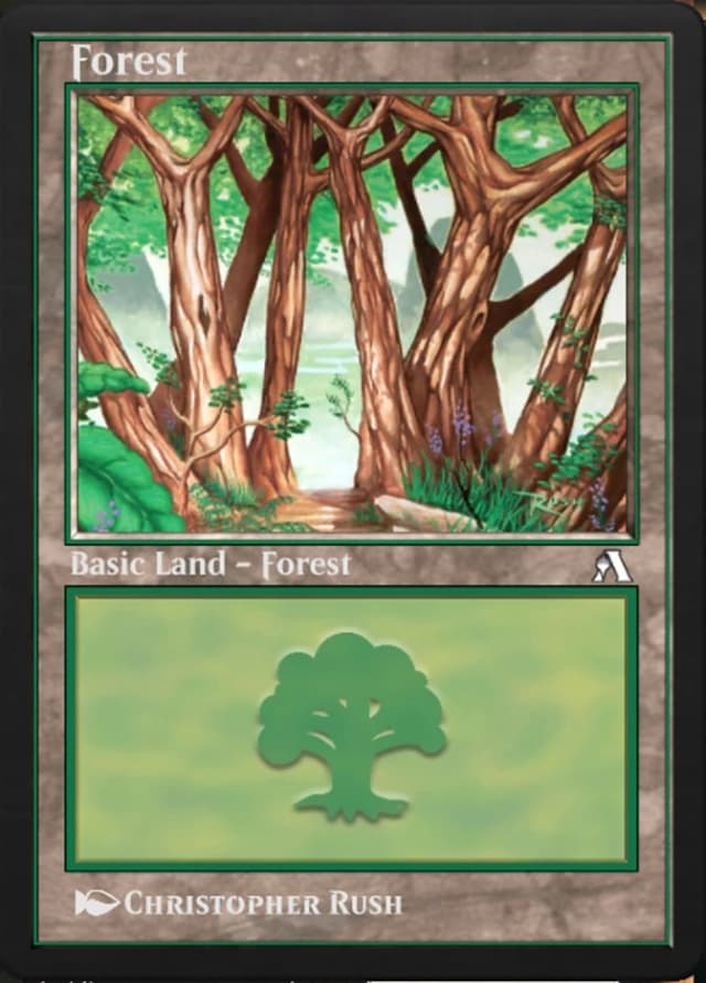 Forest image