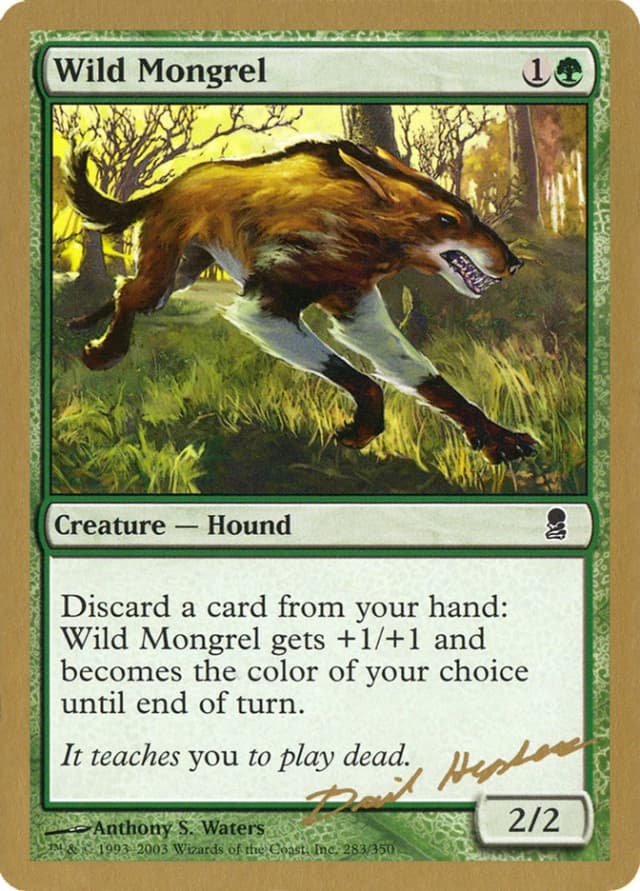 Wild Mongrel image