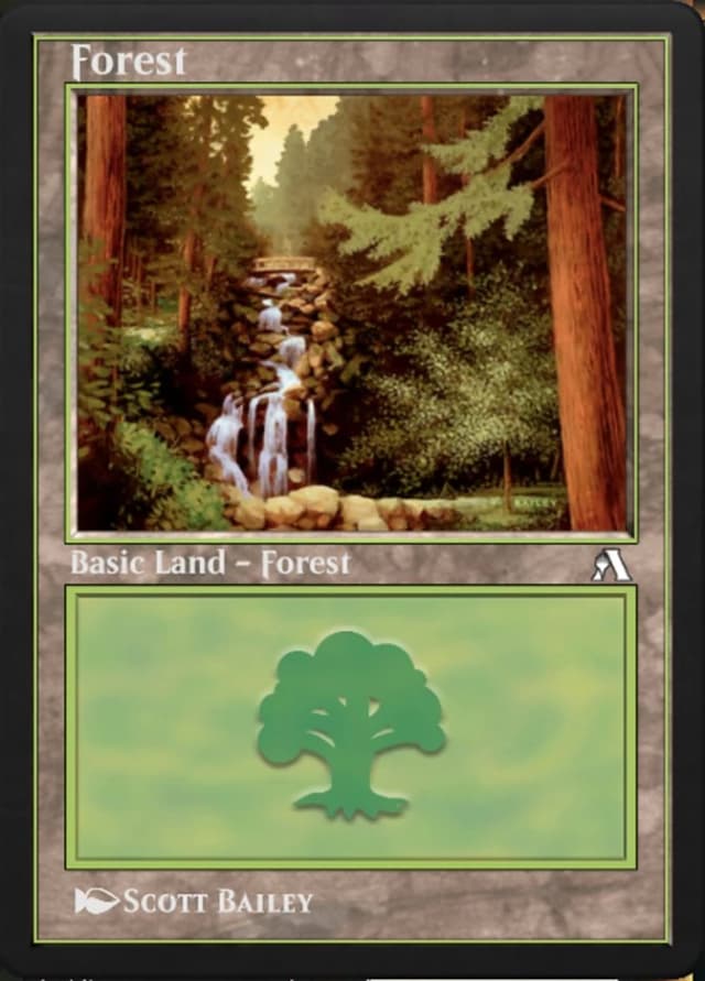 Forest image