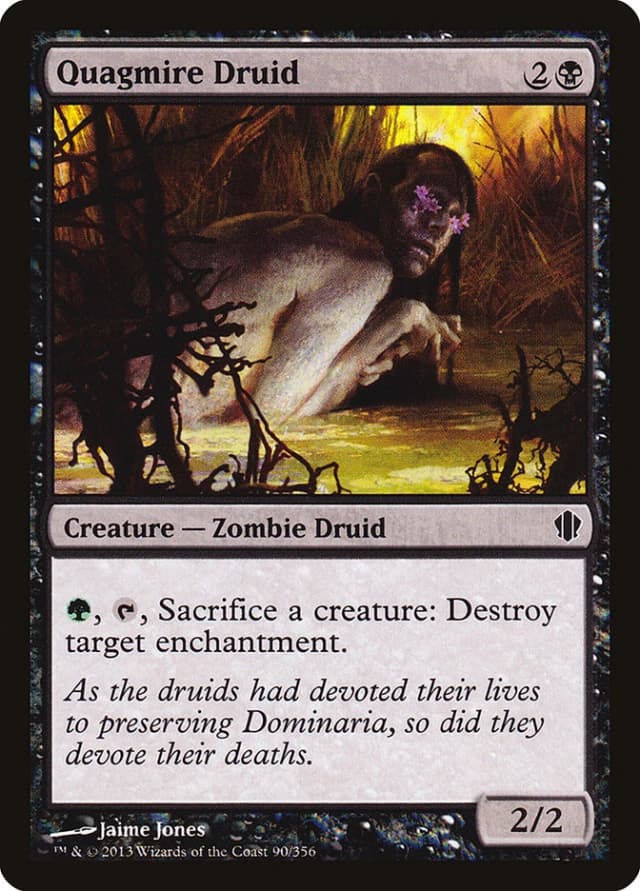 Quagmire Druid image